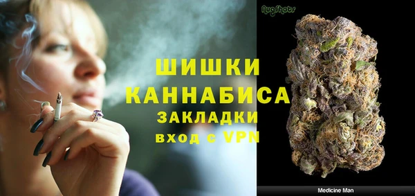 МДПВ Мегион