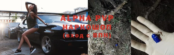 стаф Медногорск