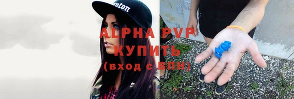 спиды Билибино