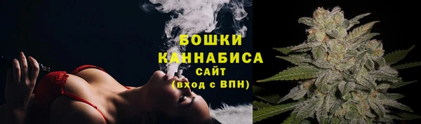МДПВ Мегион