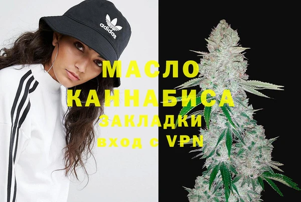 стаф Медногорск