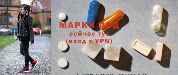 стаф Медногорск
