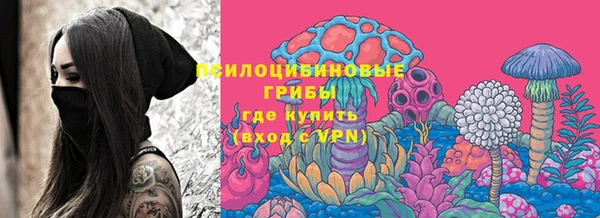 первитин Медвежьегорск