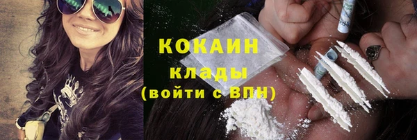 стаф Медногорск