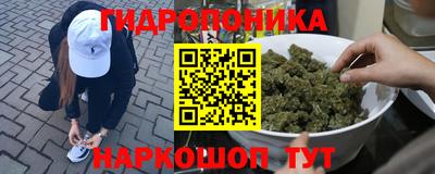 прущие крисы Волжск