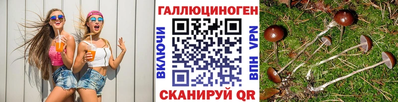 Псилоцибиновые грибы Psilocybine cubensis  Стрежевой 