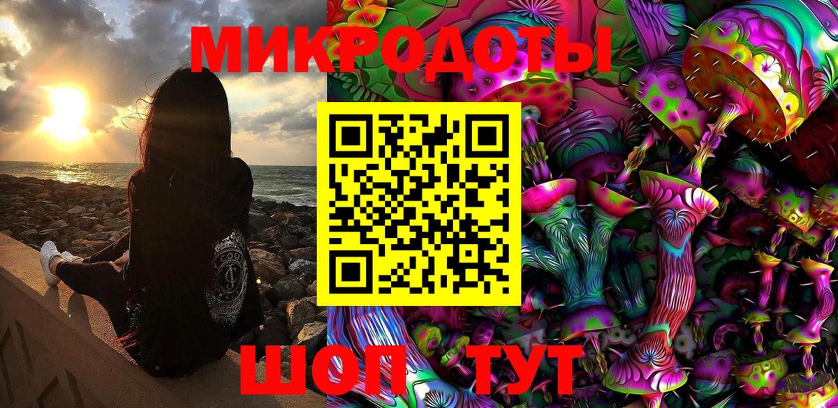 Псилоцибиновые грибы Psilocybine cubensis  Псилоцибиновые грибы прущие грибы  Стрежевой 