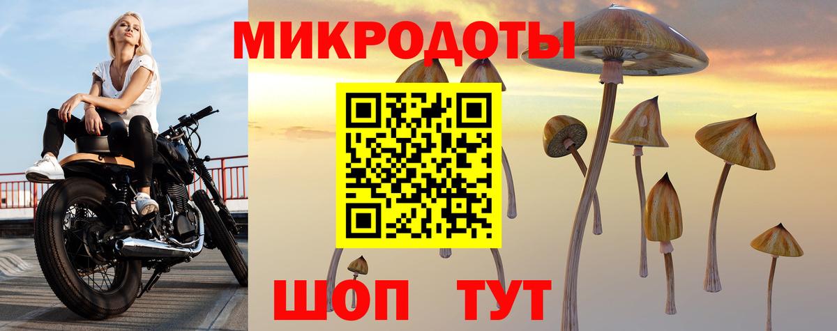 Галлюциногенные грибы мухоморы Стрежевой