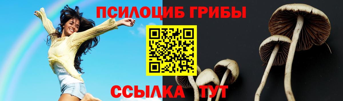 Стрежевой  где купить наркоту  Галлюциногенные грибы мицелий  Вход с VPN  Галлюциногенные грибы Psilocybine cubensis 